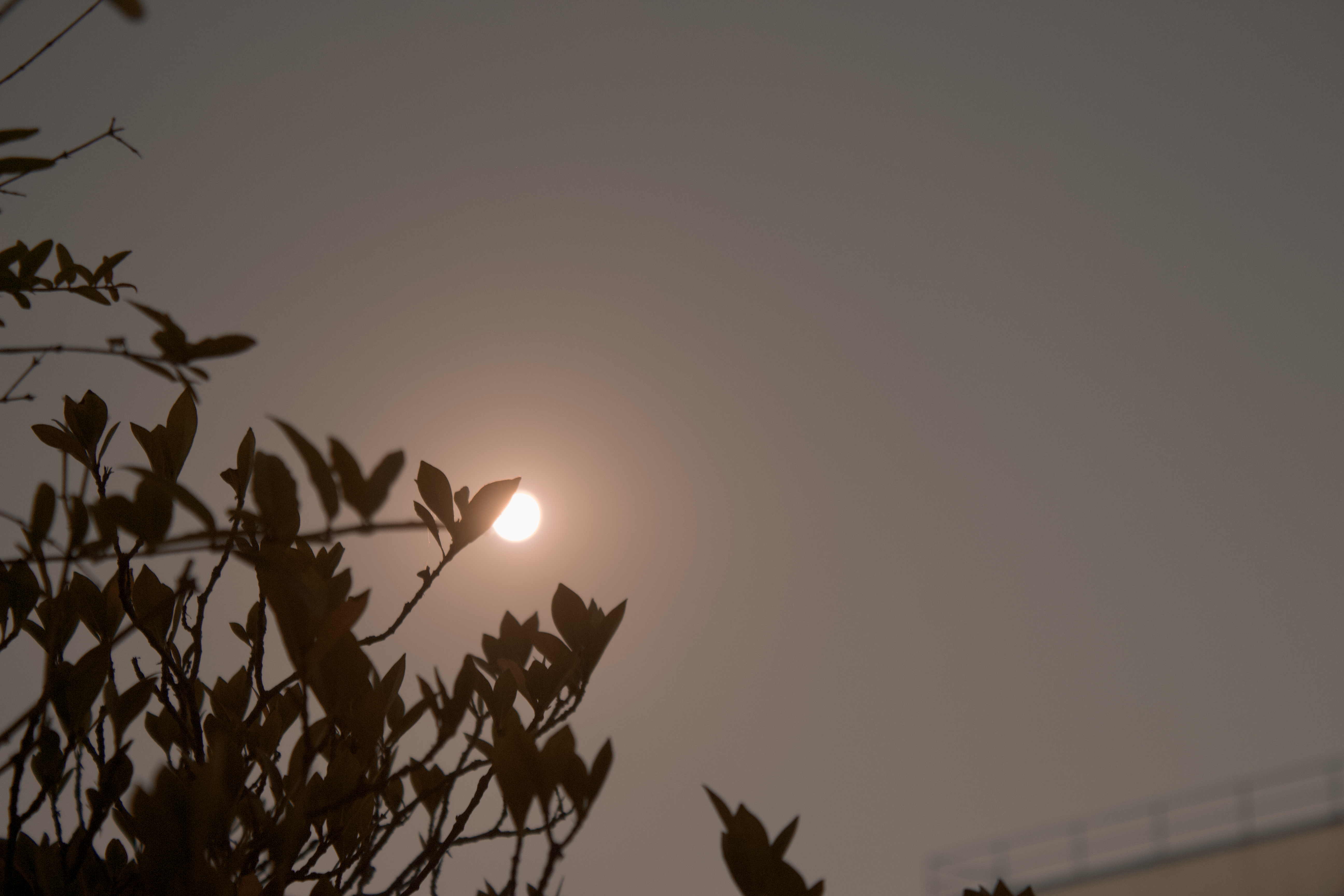 Description of photo 5